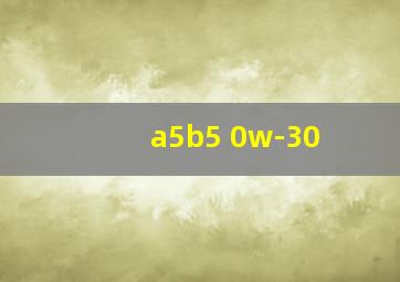 a5b5 0w-30